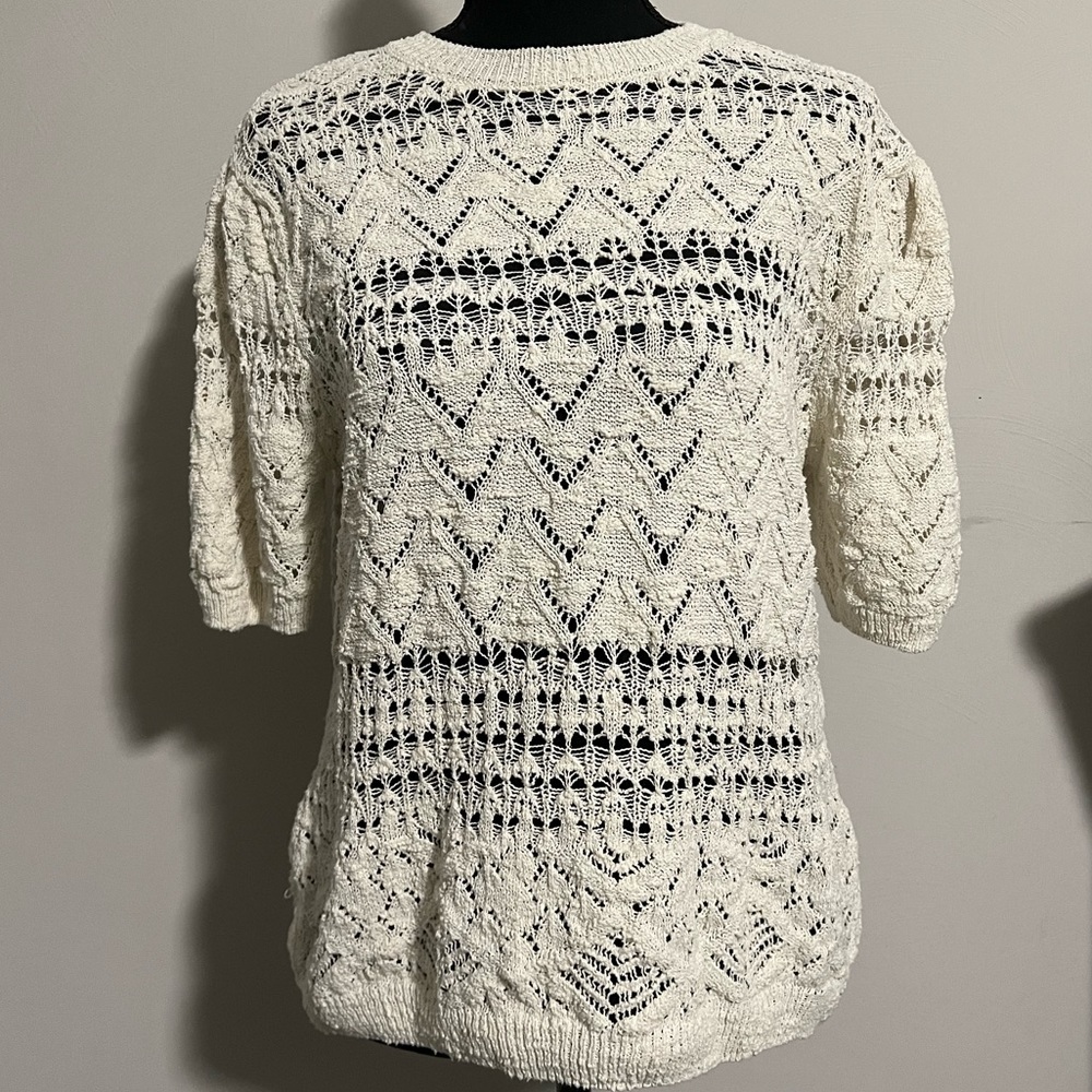 🍁🍁🍁 Zara Short Sleeved Open Knit Sweater